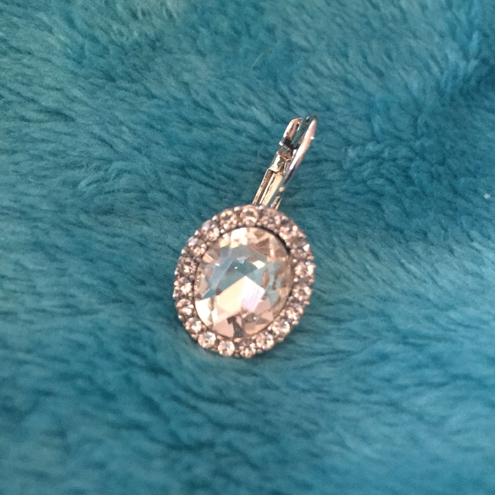 ❗️Brand New ❗️Elegant Silver Stone Earrings